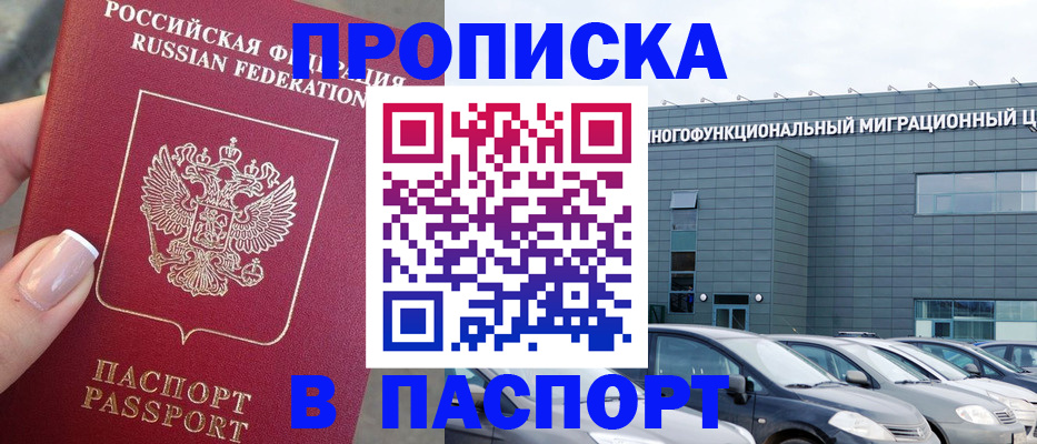 прописка для школы в Камчатской области